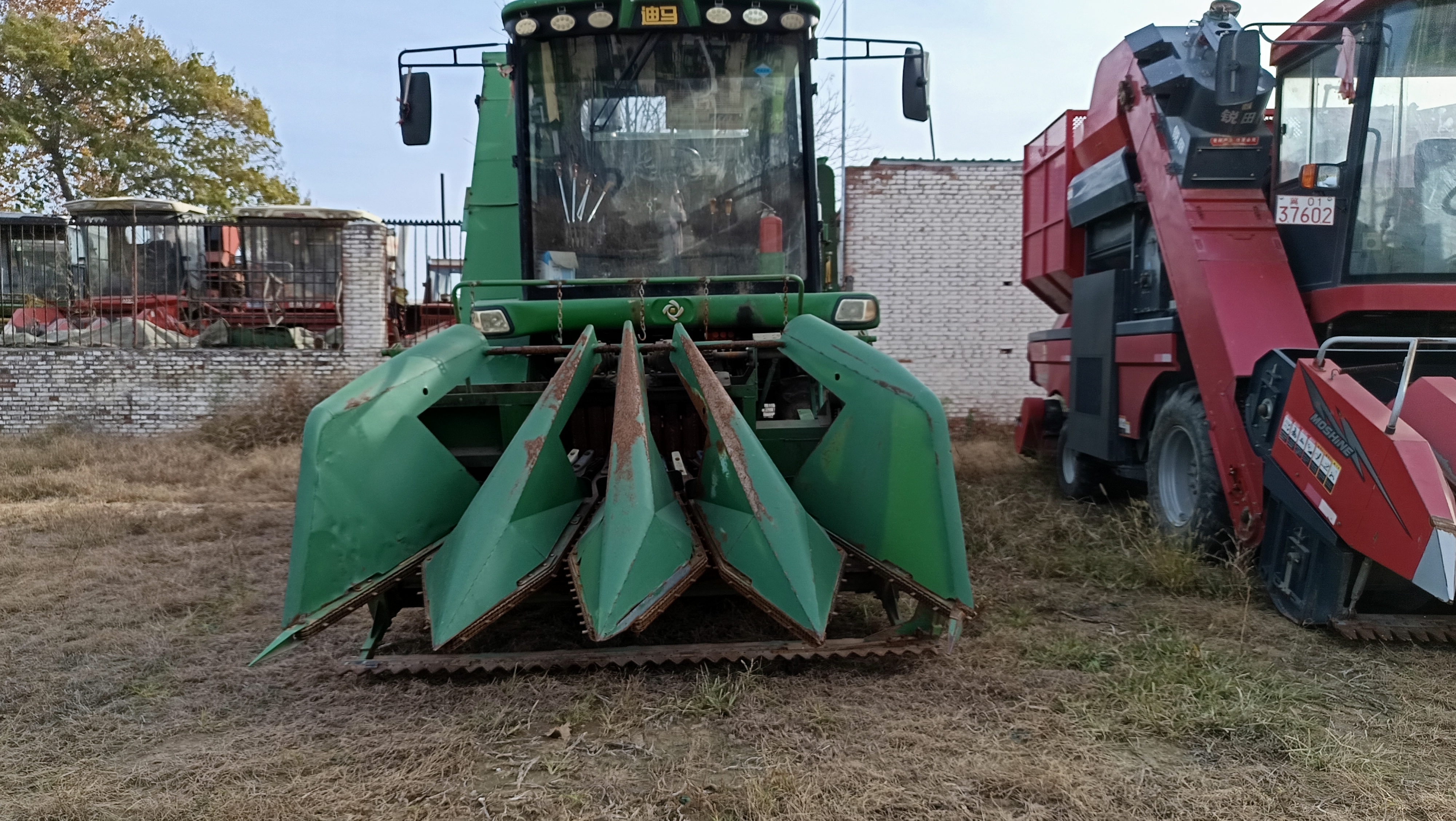 2020.9迪马战狼(图3)